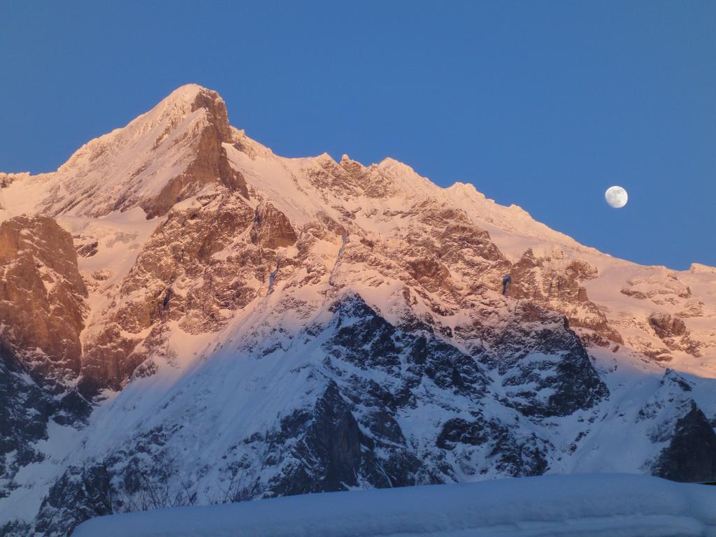 Lehmann's Herberge Hostel Grindelwald Buitenkant foto
