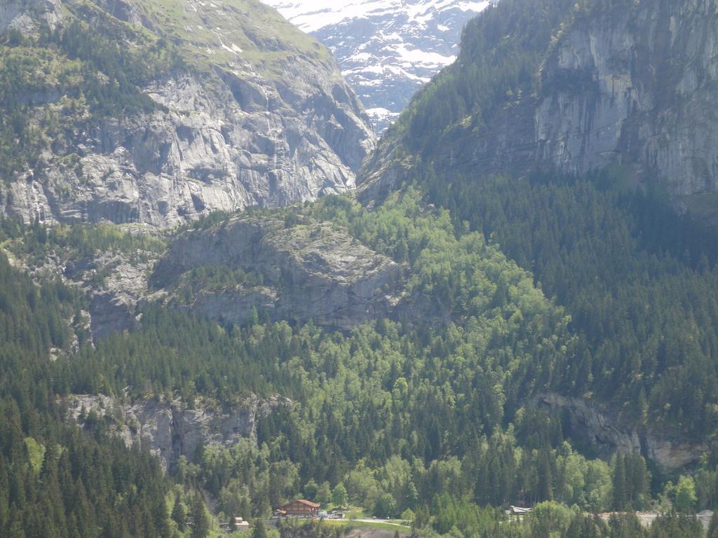 Lehmann's Herberge Hostel Grindelwald Buitenkant foto